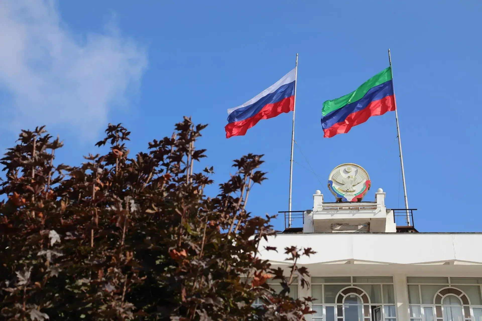 40 учёных Дагестана рекомендованы к стипендиям главы