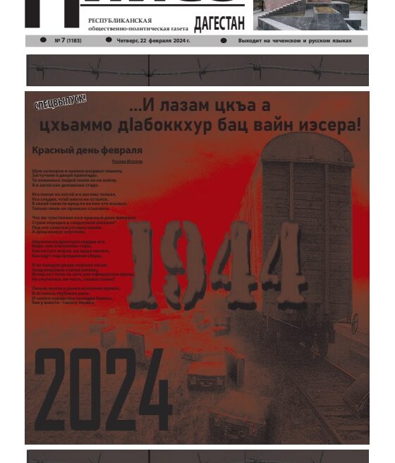 №7-2024