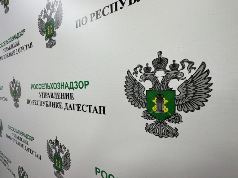 Управлением Россельхознадзора по Республике Дагестан выявлено 14 нарушений при ввозе подкарантинной продукции из стран ЕАЭС