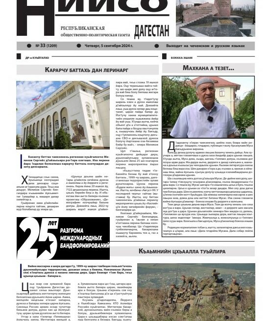 №33-2024