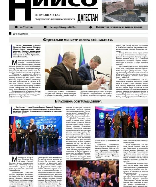 №11-2025
