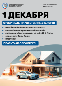 Налог на имущество физических лиц: срок уплаты до 1 декабря 2025 года