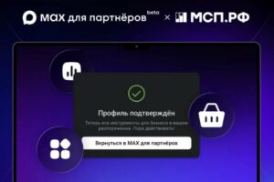 Более 700 тысяч малых предприятий получили доступ к интеграции с мессенджером MAX