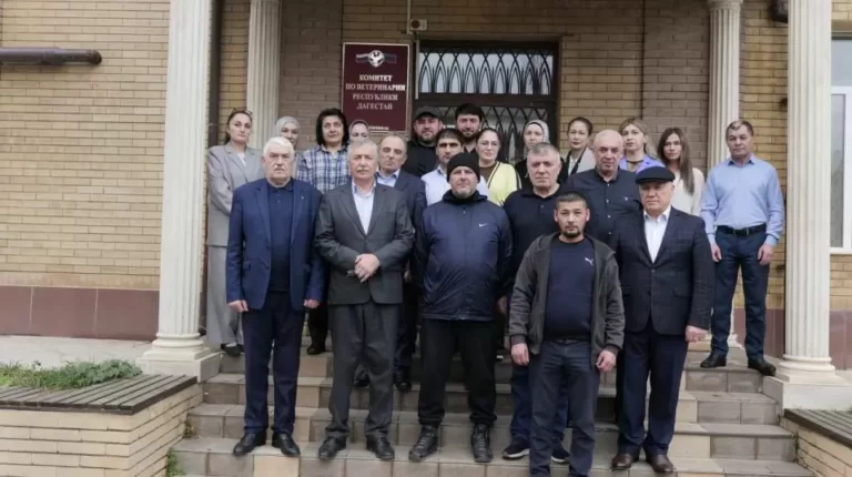 Специалисты ветеринарной службы Дагестана отправились добровольцами в зону СВО