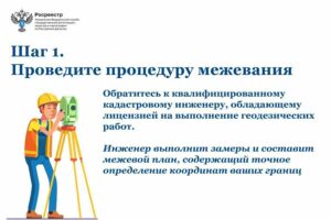 Установление границ земельного участка становится обязательным с 2025 года