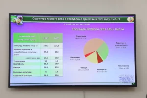 В Дагестане принят закон о семеноводческих зонах