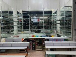 Более 170 нарушений выявили в Махачкале за три недели проверок
