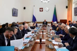 В Правительстве Дагестана обсудили реализацию «Пушкинской карты»