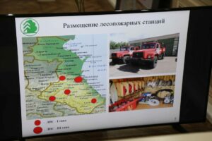 В Дагестане заработала круглосуточная линия по лесным пожарам