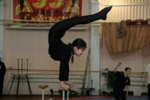 Единственную на Северном Кавказе цирковую школу ждёт большой ремонт