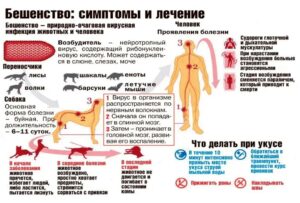 Ветеринары призвали прививать питомцев перед началом сезона