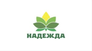 Почти 73 млн рублей от фонда «Надежда» получили пострадавшие от наводнения